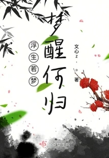 Life is Like a Dream, Where Can You Go When You Wake Up?