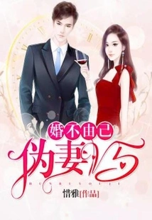 Unable to Marry Oneself: Fake Wife, V5