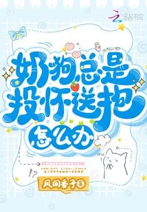 What Should I Do If My Puppy Always Throws Himself into My Arms?