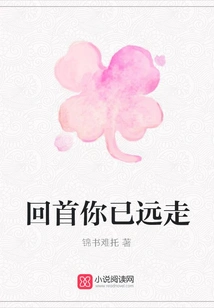 Looking Back, You Have Gone Far Away