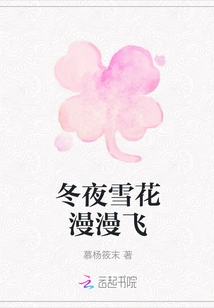 Snowflakes Are Flying in Winter Night