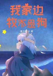 My Border Collie is Not a Dog