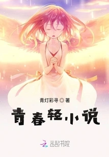 Youth Light Novel