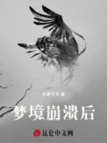 After the Dream Collapsed