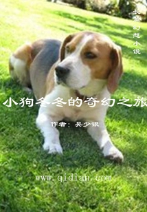 Puppy Dongdong's Fantasy Journey