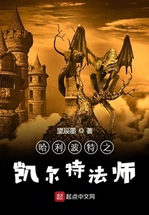 Harry Potter and the Celtic Wizard