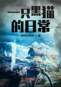 The Daily Life of a Black Cat