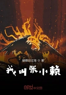 My Name is Zhang Xiaolai