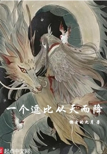 A Funny Guy Fell from the Sky