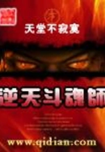 Heaven Defying Soul Master