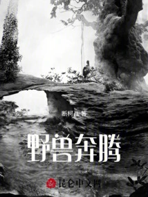 Wild Beast Galloping