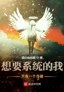 If I Want a System, I Only Have One Pawn Shop