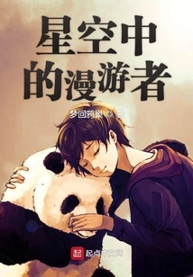 Wanderer in the Starry Sky