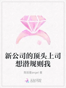 My Immediate Boss in the New Company Wants to Unspoken Rules About Me