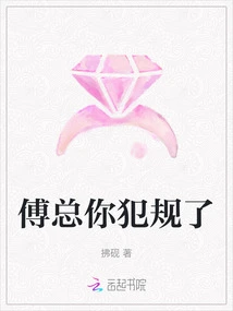 Mr. Fu, You Broke the Rules