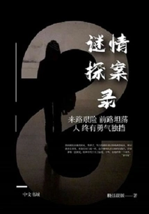 Mystery Detective Chronicles