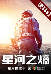 Entropy of the Galaxy