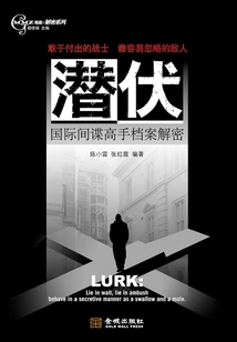 Insidious: International Spy Master Files Decrypted