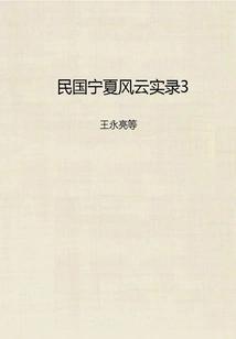 Record of Ningxia's Storm in the Republic of China 3