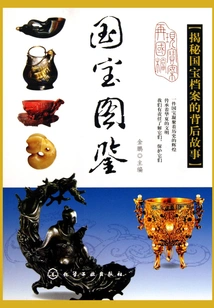 National Treasure Illustrated Book