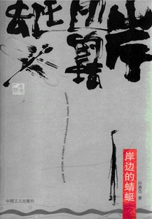 Dragonfly on the Shore