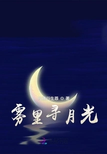 Looking for Moonlight in the Fog