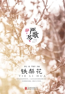 Yan Geling's Work: Tie Lihua