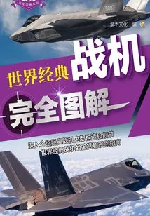 Complete Illustrations of the World's Classic Fighter Planes