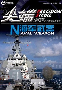 Cutting Edge Naval Weapons