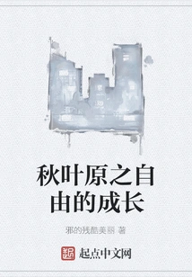 The Growth of Freedom in Akihabara