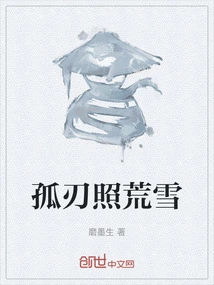 The Lonely Blade Shines on the Snow