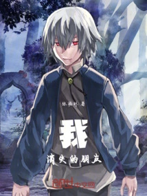 My Disappearing Friend