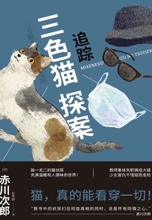 Calico Cat Detective: Tracking