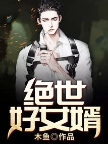 A Wonderful Son-in-law