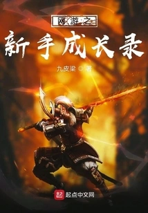 Novice Growth Record of Online Games