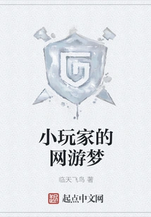 Little Gamer's Online Gaming Dream