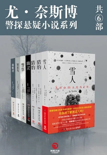 Yo Nesbo Police Detective Suspense Novel Series (6 Books in Total)