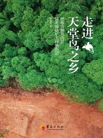 Entering the Land of Birds of Paradise: a Personal Experience of the Ramu Nickel-cobalt Mine Project in Papua New Guinea