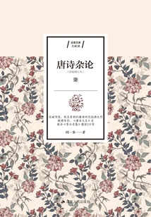 Miscellaneous Comments on Tang Poetry