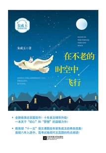 Flying in Timeless Time and Space