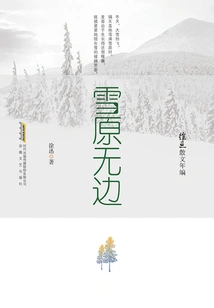 Xu Xun's Prose Years: Boundless Snowfield