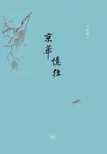 Remembering the Past in Beijing (second Edition)