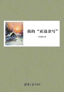 My "marginal Writing