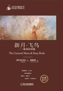 New Moon and Birds: Selected Poems of Rabindranath Tagore (pocket Museum of Literature and Art)