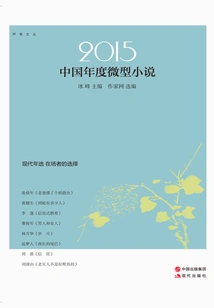 2015 Chinese Micro-novel of the Year