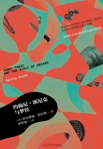 Johnny Panik and the Dream Book