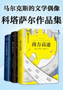 Cortázar's Portfolio