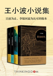 Wang Xiaobo's Novels