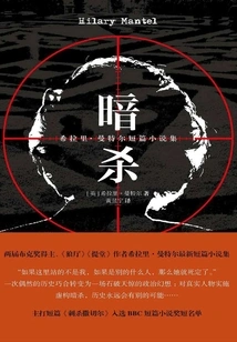 Assassination (a Collection of Short Stories by Hilary Mantel)