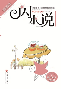 The Taste of Salt in Tea (philosophy of Flash Novels)